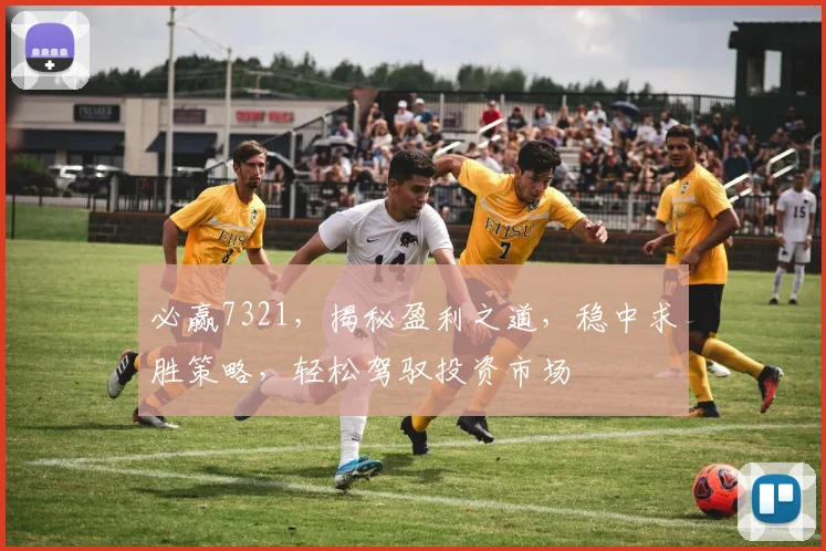 必赢7321，揭秘盈利之道，稳中求胜策略，轻松驾驭投资市场