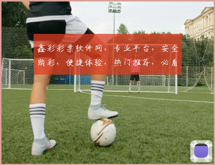 鑫彩彩票软件网，专业平台，安全购彩，便捷体验，热门推荐，必看攻略，助您轻松中奖